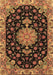 Medallion Brown Traditional Rug, tr4744brn