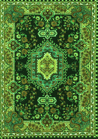 Medallion Green Traditional Rug, tr4746grn