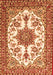 Medallion Orange Traditional Rug, tr4748org