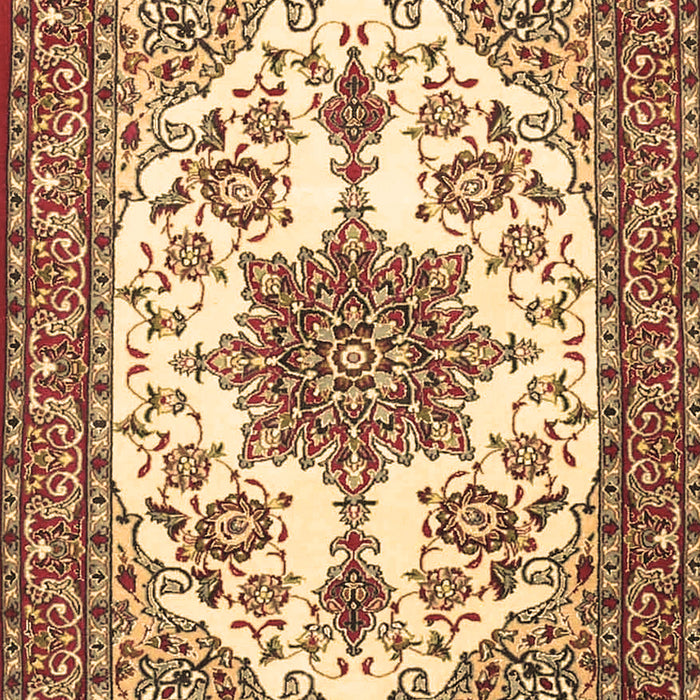 Medallion Brown Traditional Rug, tr4748brn