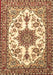 Machine Washable Medallion Brown Traditional Rug, wshtr4748brn