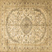 Square Persian Brown Traditional Rug, tr4755brn