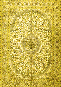 Persian Yellow Traditional Rug, tr4755yw