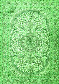 Persian Green Traditional Rug, tr4755grn