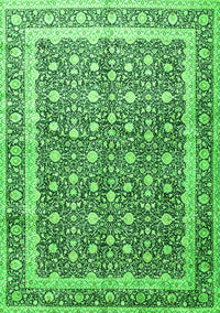 Persian Green Traditional Rug, tr4756grn