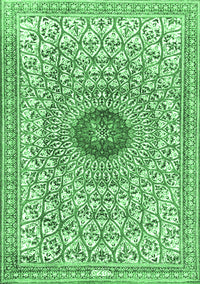 Medallion Emerald Green Traditional Rug, tr4763emgrn