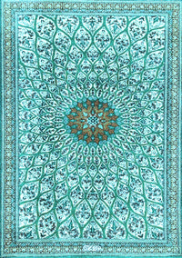 Medallion Light Blue Traditional Rug, tr4763lblu