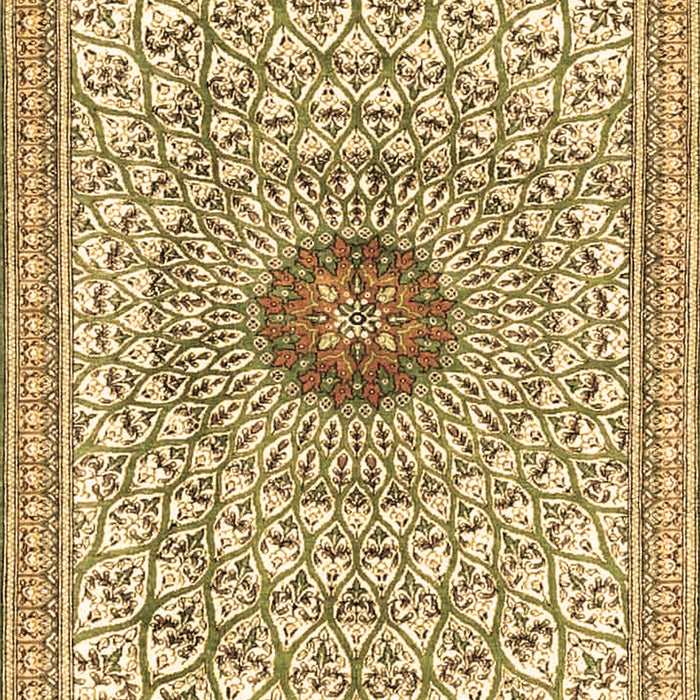 Medallion Brown Traditional Rug, tr4763brn