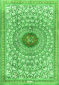 Medallion Green Traditional Rug, tr4763grn