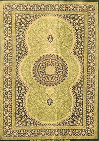 Medallion Brown Traditional Rug, tr4764brn