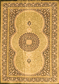 Medallion Orange Traditional Rug, tr4764org