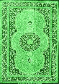 Medallion Green Traditional Rug, tr4764grn