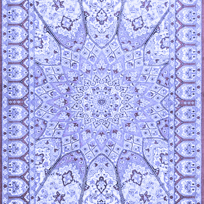 Medallion Blue Traditional Rug, tr4765blu