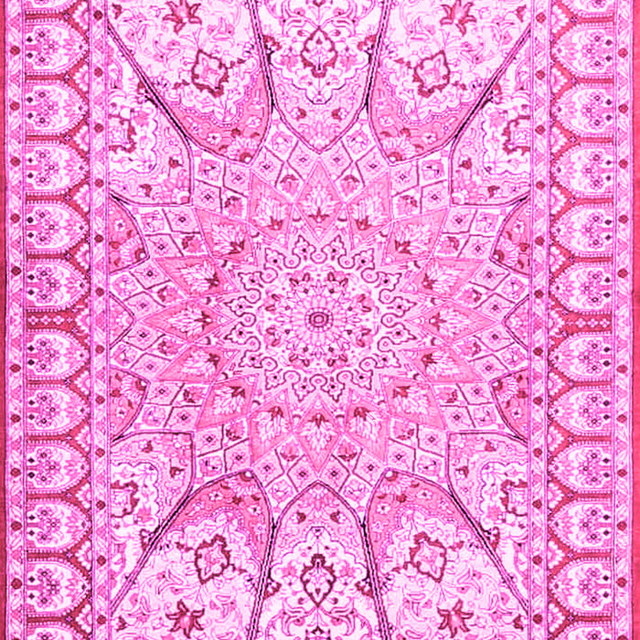 Medallion Pink Traditional Rug, tr4765pnk