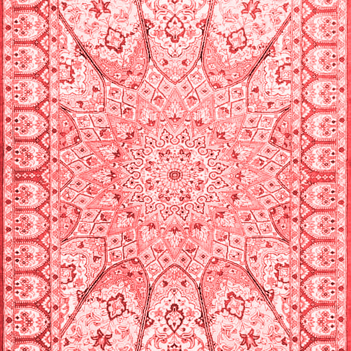 Medallion Red Traditional Area Rugs