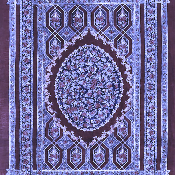 Medallion Blue Traditional Rug, tr4766blu