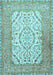 Persian Light Blue Traditional Rug, tr4769lblu