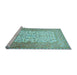 Sideview of Machine Washable Persian Light Blue Traditional Rug, wshtr4769lblu