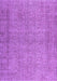 Persian Purple Traditional Rug, tr476pur