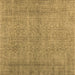 Square Persian Brown Traditional Rug, tr476brn