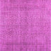 Square Persian Pink Traditional Rug, tr476pnk