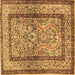 Square Animal Brown Traditional Rug, tr4773brn