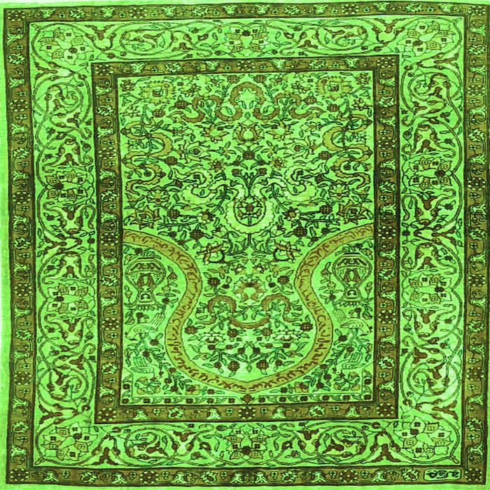 Serging Thickness of Animal Green Traditional Rug, tr4773grn