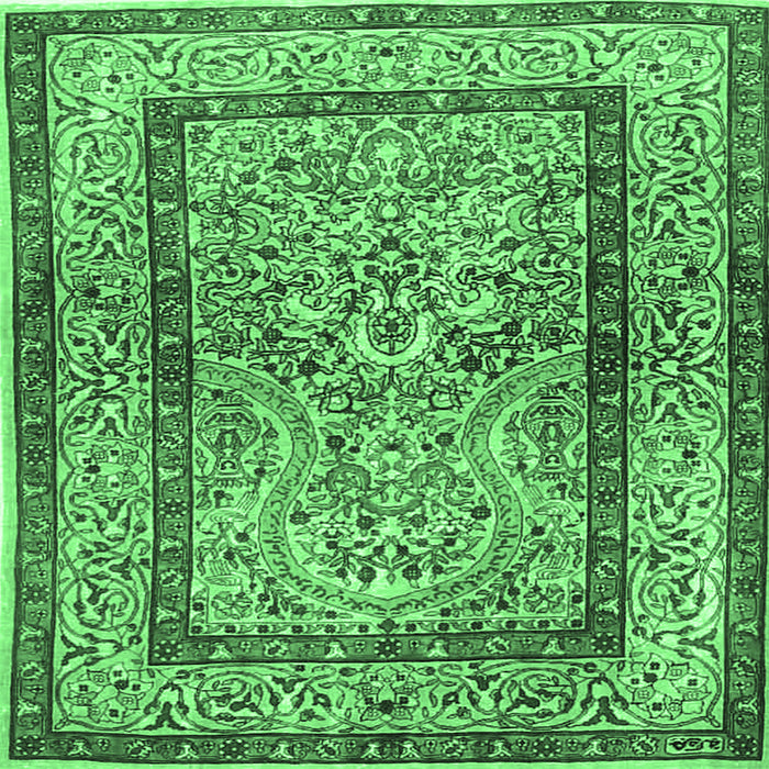 Square Machine Washable Animal Emerald Green Traditional Area Rugs, wshtr4773emgrn