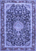 Medallion Blue Traditional Rug, tr4778blu