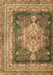 Machine Washable Persian Brown Traditional Rug, wshtr4781brn