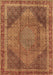 Medallion Brown Traditional Rug, tr4785brn