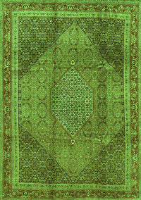 Medallion Green Traditional Rug, tr4785grn