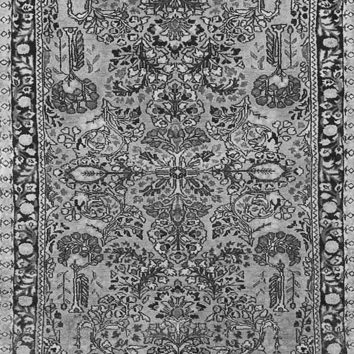 Oriental Gray Traditional Rug, tr4789gry
