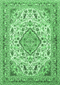 Medallion Emerald Green Traditional Rug, tr4790emgrn