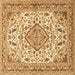 Square Machine Washable Medallion Brown Traditional Rug, wshtr4790brn