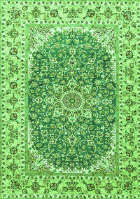 Medallion Green Traditional Rug, tr4793grn