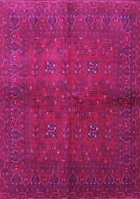 Persian Pink Traditional Rug, tr4795pnk