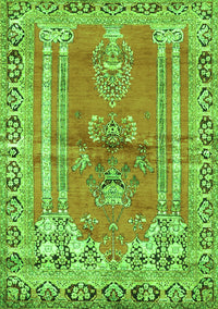 Persian Green Traditional Rug, tr4798grn