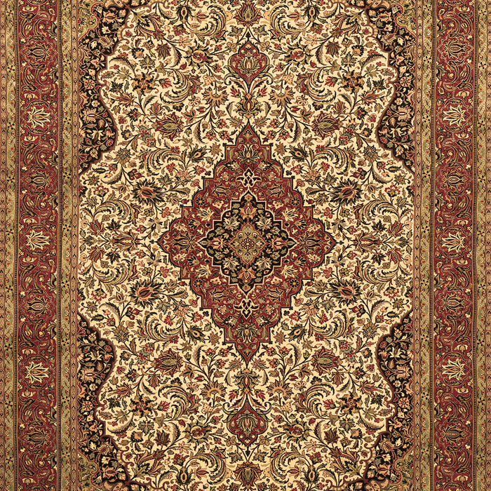 Medallion Brown Traditional Rug, tr479brn