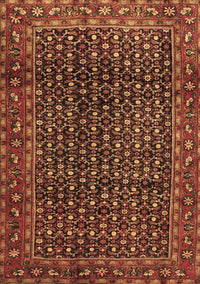 Persian Brown Traditional Rug, tr47brn