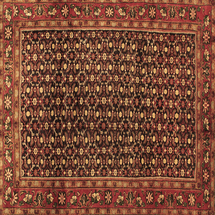 Square Machine Washable Persian Brown Traditional Rug, wshtr47brn