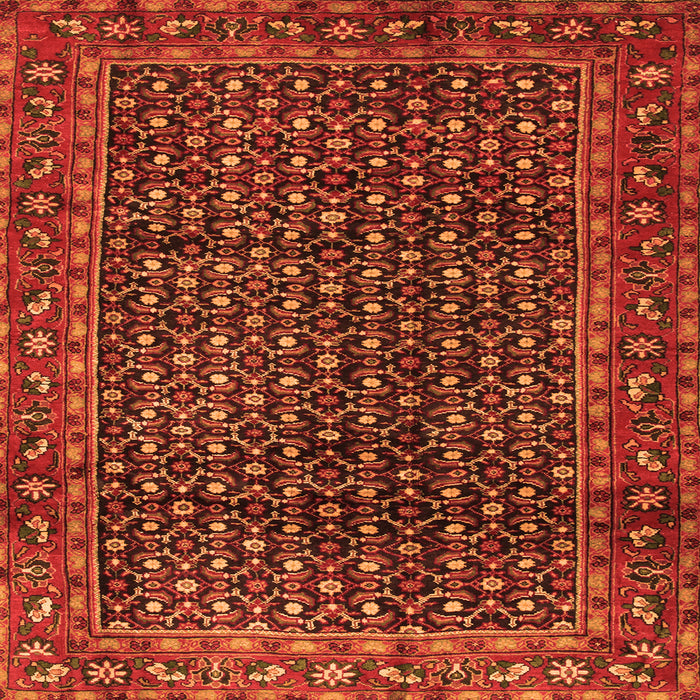 Serging Thickness of Persian Orange Traditional Rug, tr47org