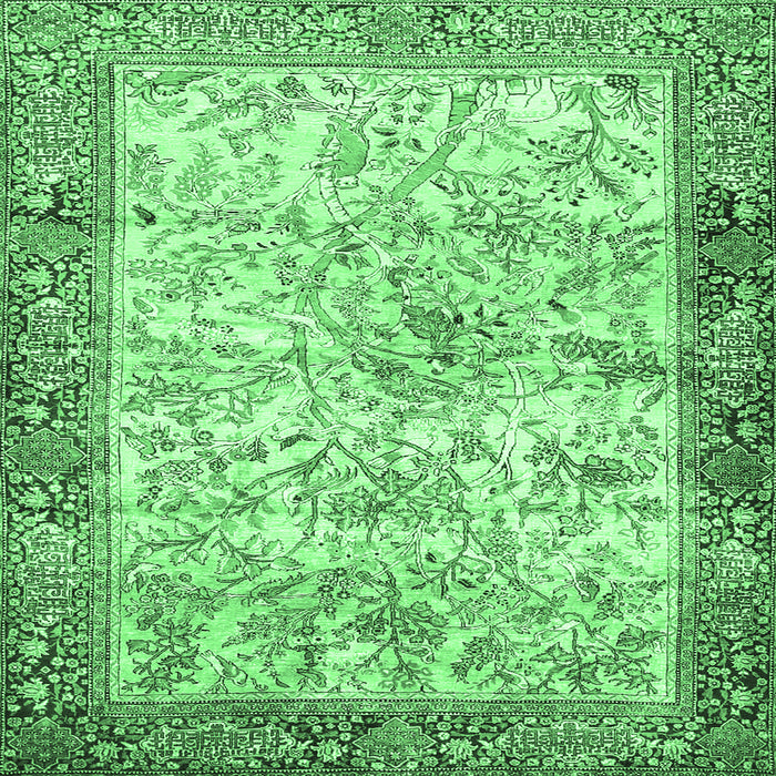 Square Machine Washable Animal Emerald Green Traditional Area Rugs, wshtr4800emgrn