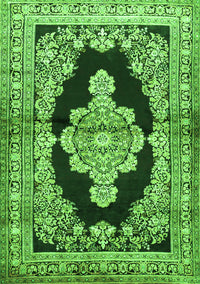 Medallion Green Traditional Rug, tr4804grn