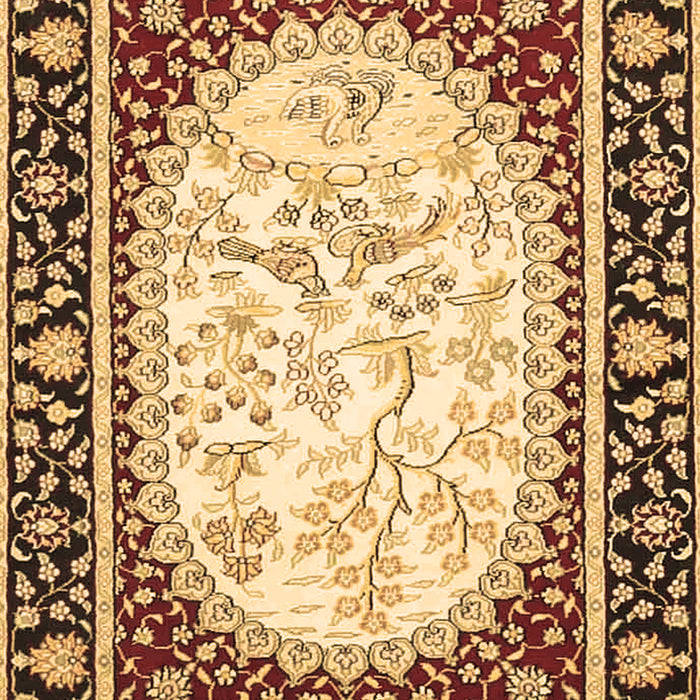 Machine Washable Persian Brown Traditional Rug, wshtr4805brn