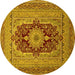 Round Medallion Yellow Traditional Rug, tr480yw