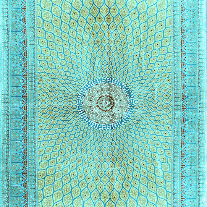 Medallion Light Blue Traditional Rug, tr4812lblu