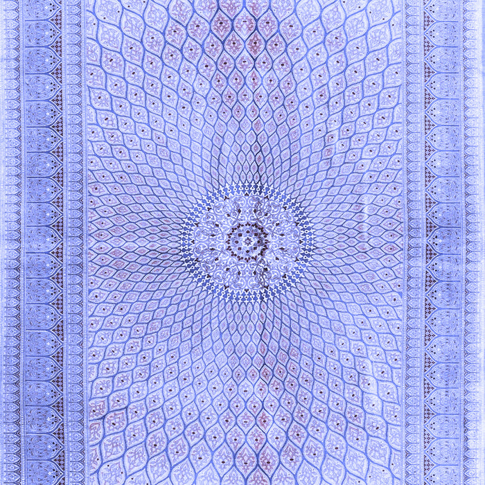 Medallion Blue Traditional Rug, tr4812blu