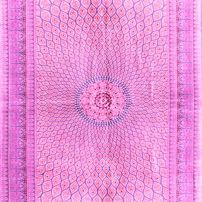Machine Washable Medallion Pink Traditional Rug, wshtr4812pnk