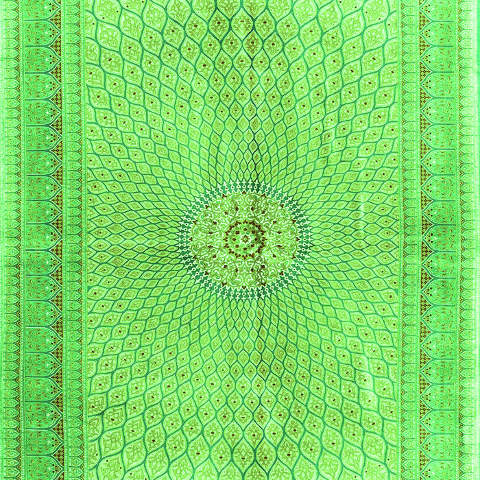 Medallion Green Traditional Rug, tr4812grn